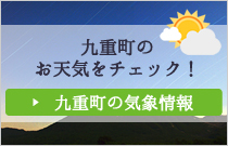 九重町の天気